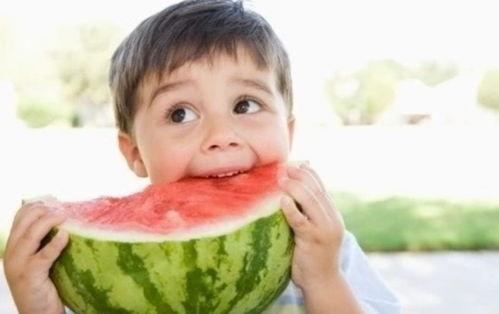 娱乐吃瓜宠物小说,娱乐圈宠物的甜蜜日常 第3张 娱乐吃瓜宠物小说,娱乐圈宠物的甜蜜日常 第3张